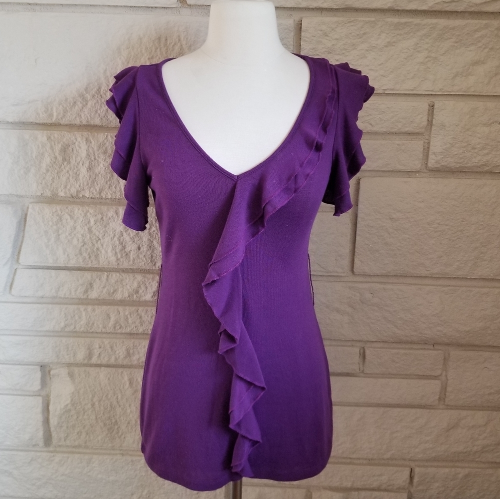 Flirty Ruffles Sleeveless Purple Mini Dress/Tunic